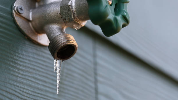 Best Residential Plumbing Services  in Harriman, TN